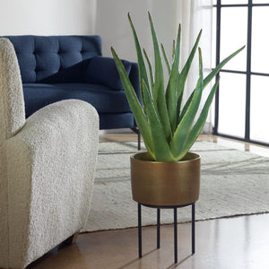 Arabia Aloe Planter, 2 CARTONS - decor accents and accessories for every room | Image 1 | InSTYLE Home & Rugs