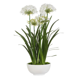 Purity Agapanthus Centerpiece - stylish home accessories to complete your decor | Image 4 | InSTYLE Home & Rugs