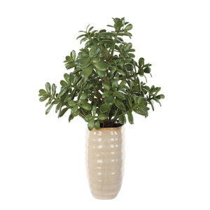 Crassula Jade Accent - modern accessories for a personalized living space | Image 4 | InSTYLE Home & Rugs
