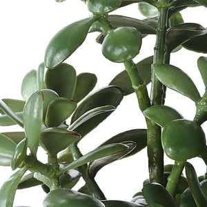 Crassula Jade Accent - modern accessories for a personalized living space | Image 5 | InSTYLE Home & Rugs