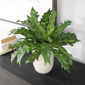 Verdure Fern - stylish home accessories to complete your decor | Image 3 | InSTYLE Home & Rugs
