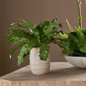 Verdure Fern - stylish home accessories to complete your decor | Image 1 | InSTYLE Home & Rugs