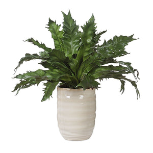 Verdure Fern - stylish home accessories to complete your decor | Image 2 | InSTYLE Home & Rugs