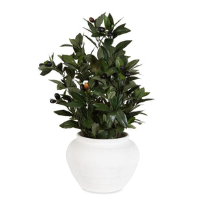 Elena Olive Centerpiece - stylish home accessories to complete your decor | Image 2 | InSTYLE Home & Rugs