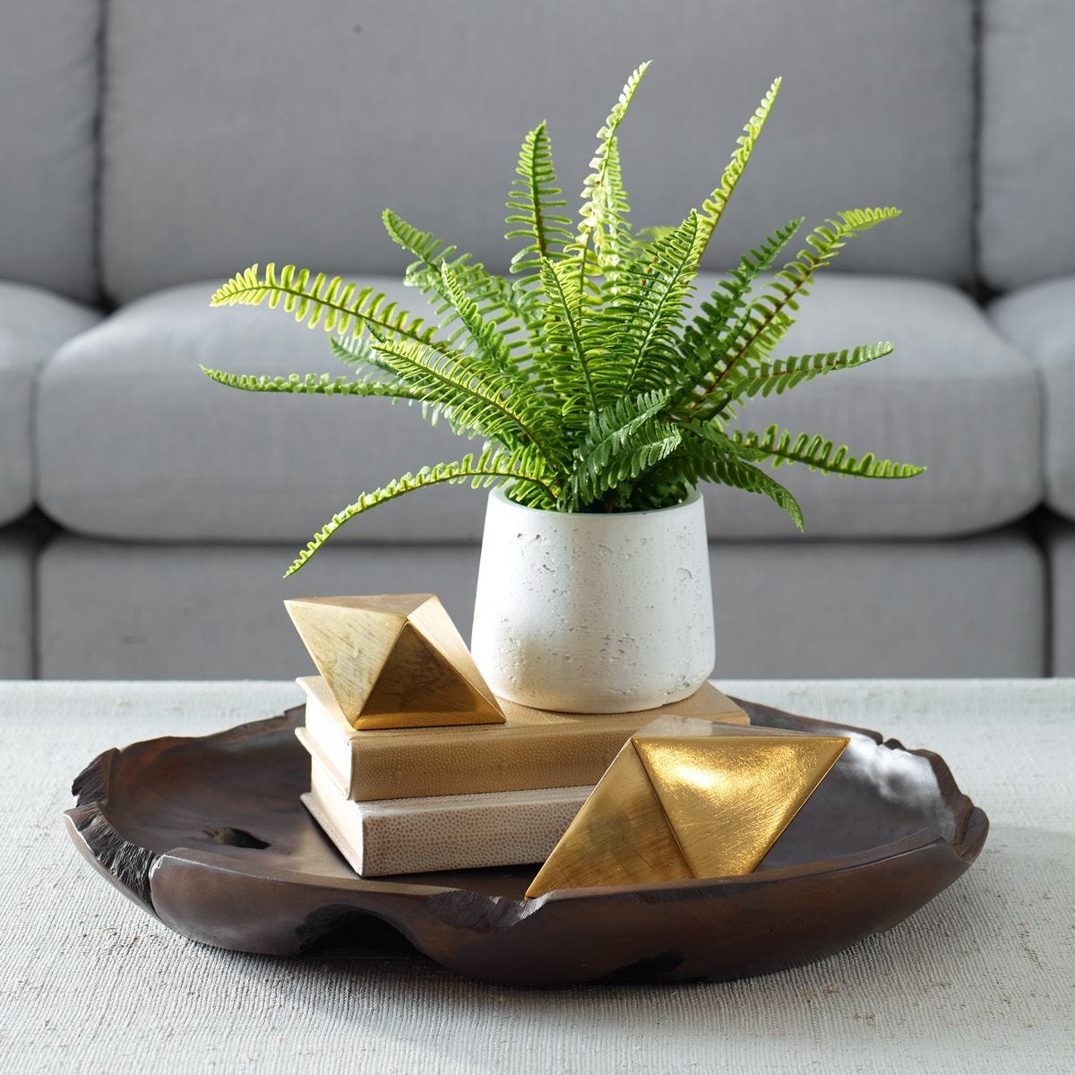 Boston Fern Accent - decor accents and accessories for every room | Image 1 | InSTYLE Home & Rugs