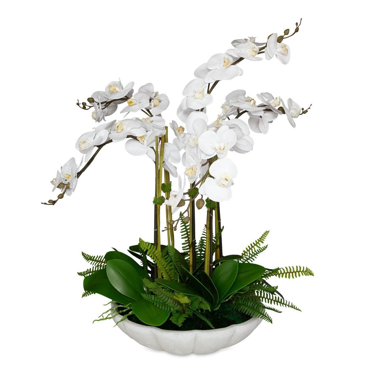 Flourish Orchid Centerpiece - decor accents and accessories for every room | Image 2 | InSTYLE Home & Rugs