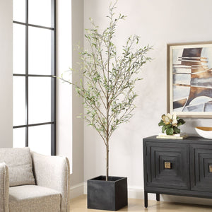 Abundance Potted Olive Tree - decor accents and accessories for every room | Image 1 | InSTYLE Home & Rugs