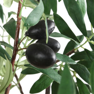 Olea Potted Olive - stylish home accessories to complete your decor | Image 4 | InSTYLE Home & Rugs