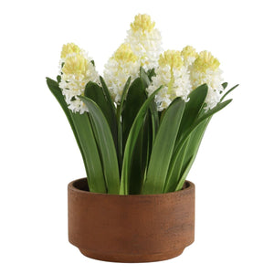Sincerity Potted Hyacinth - stylish home accessories to complete your decor | Image 3 | InSTYLE Home & Rugs
