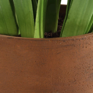 Sincerity Potted Hyacinth - stylish home accessories to complete your decor | Image 5 | InSTYLE Home & Rugs