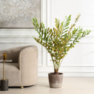 Zamia Palm Accent - stylish home accessories to complete your decor | Image 1 | InSTYLE Home & Rugs