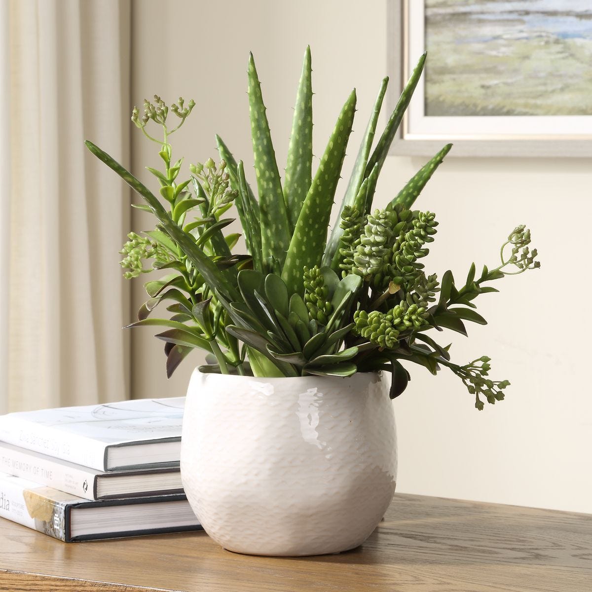 Sundown Succulent Accent - modern accessories for a personalized living space | Image 1 | InSTYLE Home & Rugs