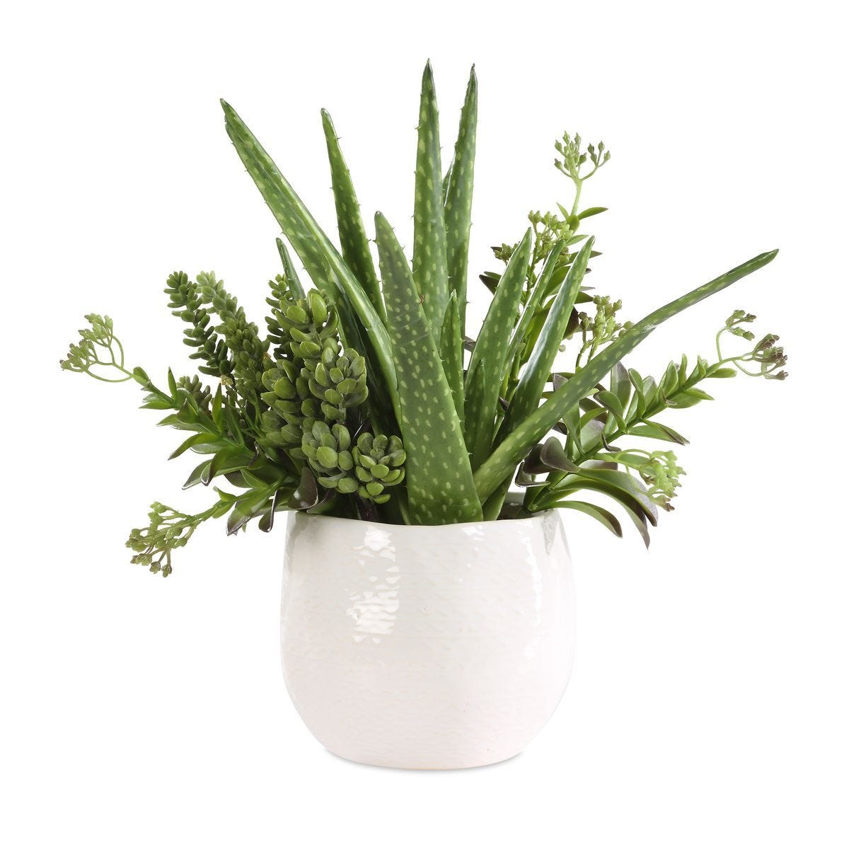 Sundown Succulent Accent - modern accessories for a personalized living space | Image 2 | InSTYLE Home & Rugs
