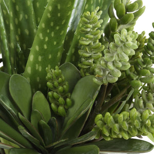 Sundown Succulent Accent - modern accessories for a personalized living space | Image 4 | InSTYLE Home & Rugs