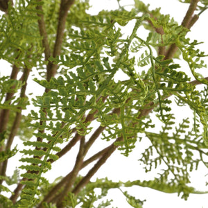 Woodland Fern Centerpiece - stylish home accessories to complete your decor | Image 4 | InSTYLE Home & Rugs