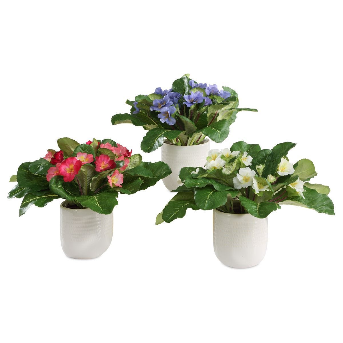 Trilogy Primrose Accents, S/3 - stylish home accessories to complete your decor | Image 2 | InSTYLE Home & Rugs