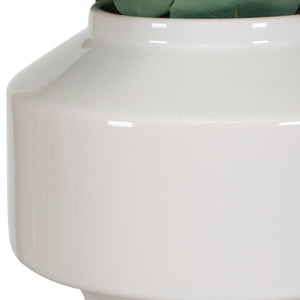 Essence Eucalyptus Accent - decor accents and accessories for every room | Image 7 | InSTYLE Home & Rugs