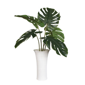 Muse Monstera Centerpiece - modern accessories for a personalized living space | Image 5 | InSTYLE Home & Rugs