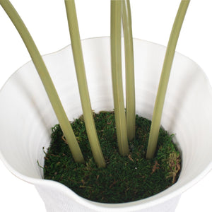 Muse Monstera Centerpiece - modern accessories for a personalized living space | Image 8 | InSTYLE Home & Rugs