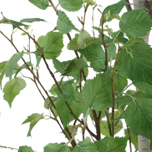 Boreal Potted Birch Tree - stylish home accessories to complete your decor | Image 6 | InSTYLE Home & Rugs
