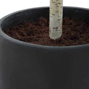 Boreal Potted Birch Tree - stylish home accessories to complete your decor | Image 7 | InSTYLE Home & Rugs