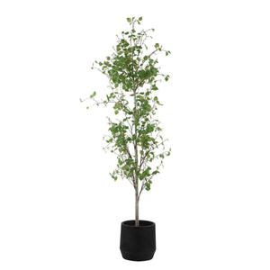 Boreal Potted Birch Tree - stylish home accessories to complete your decor | Image 4 | InSTYLE Home & Rugs