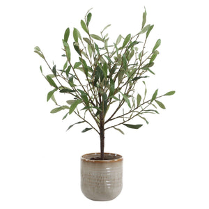 Solea Olive Accent - modern accessories for a personalized living space | Image 4 | InSTYLE Home & Rugs