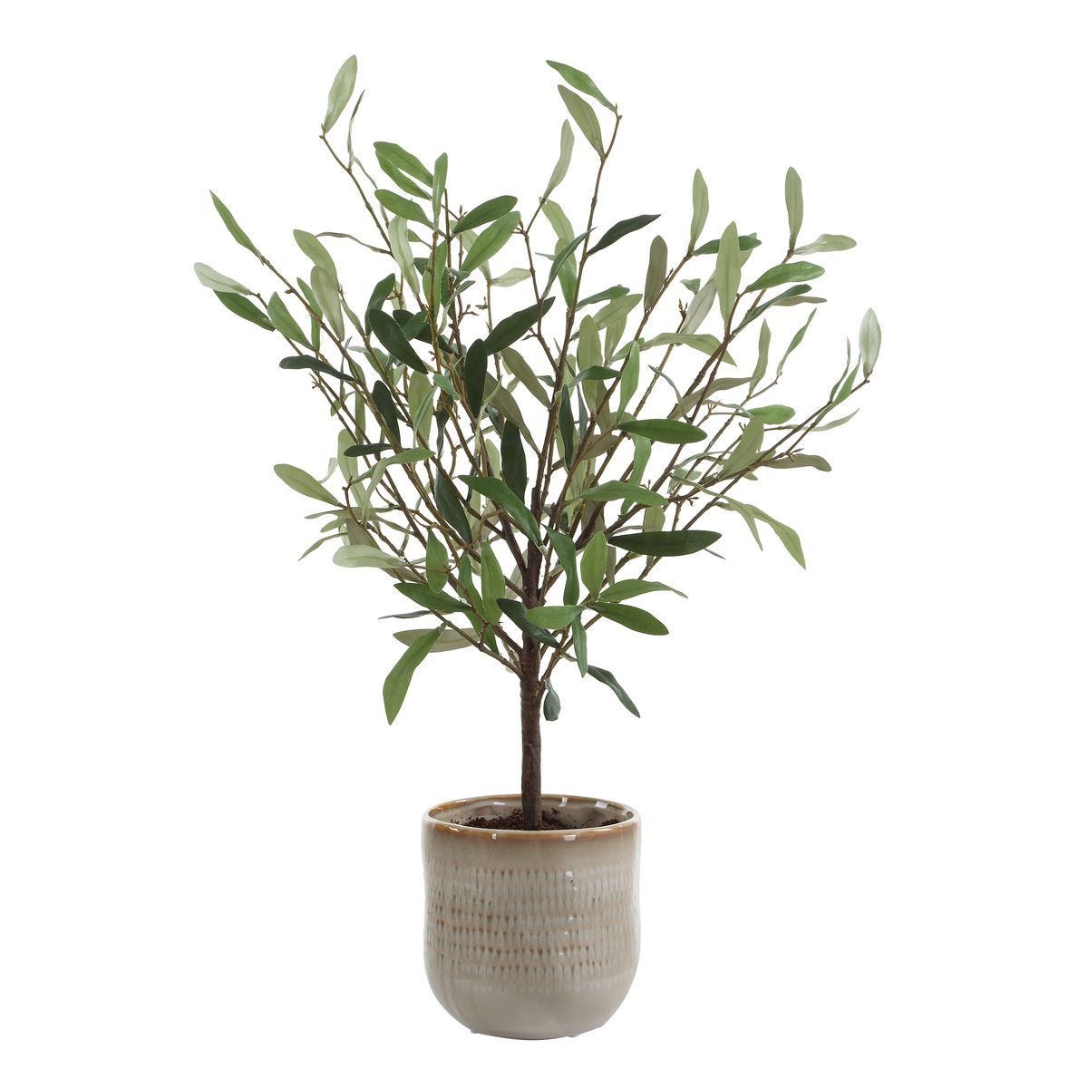 Solea Olive Accent - modern accessories for a personalized living space | Image 2 | InSTYLE Home & Rugs