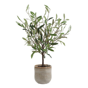 Solea Olive Accent - modern accessories for a personalized living space | Image 2 | InSTYLE Home & Rugs