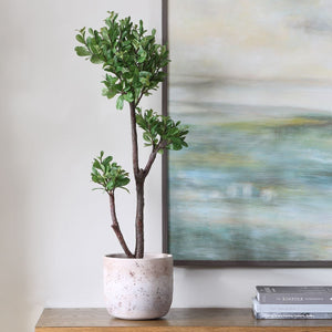 Arbor Strawberry Tree - stylish home accessories to complete your decor | Image 3 | InSTYLE Home & Rugs