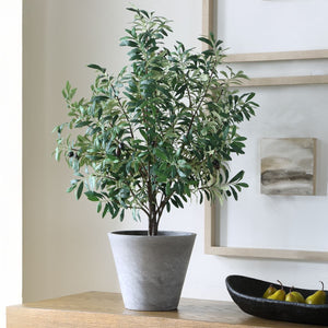 Marisol Potted Olive - stylish home accessories to complete your decor | Image 3 | InSTYLE Home & Rugs