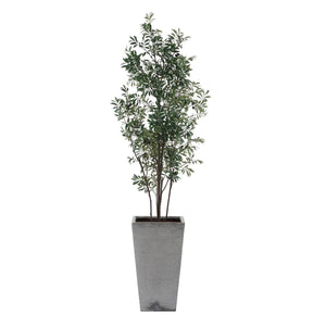 Sonora Olive Tree - stylish home accessories to complete your decor | Image 5 | InSTYLE Home & Rugs