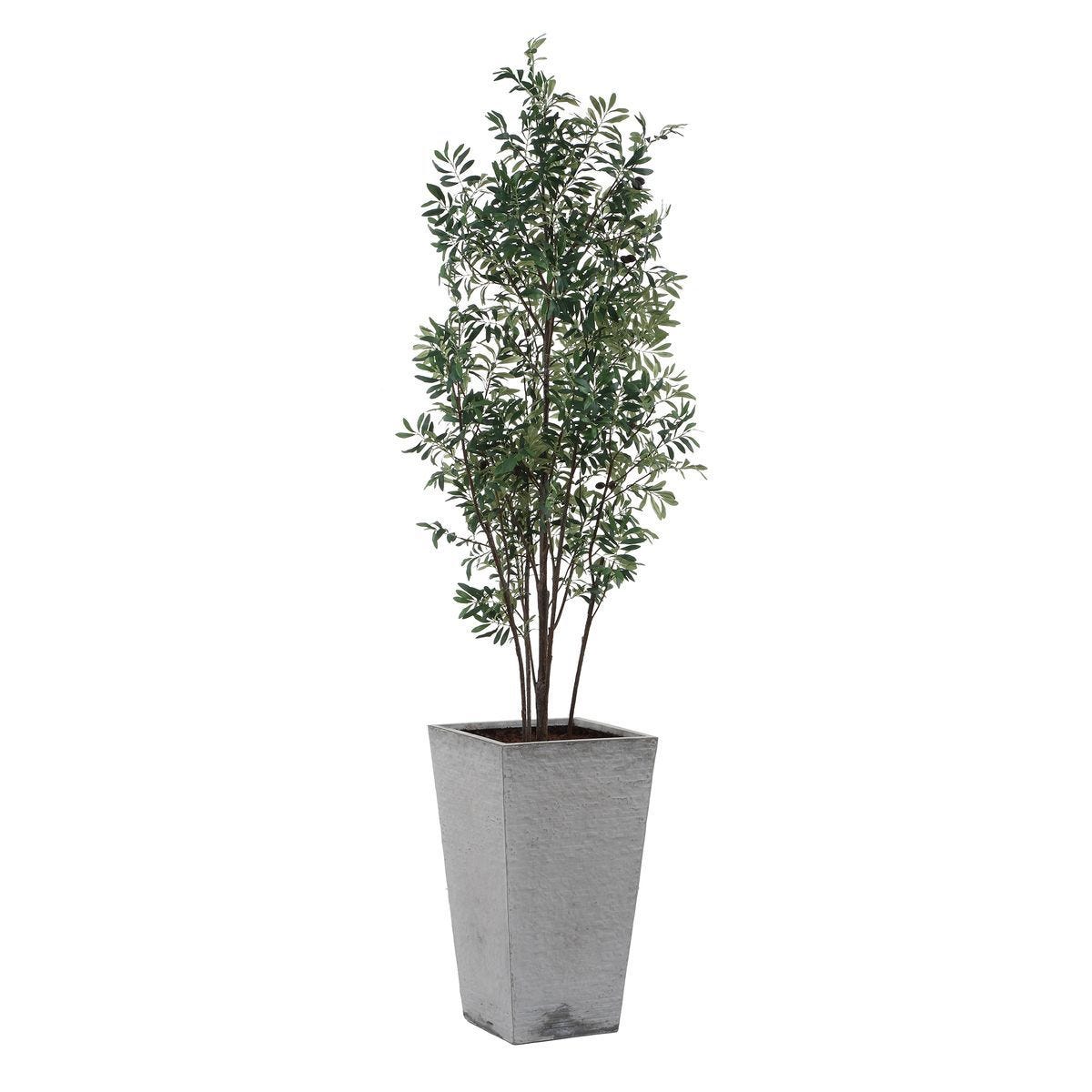 Sonora Olive Tree - stylish home accessories to complete your decor | Image 2 | InSTYLE Home & Rugs