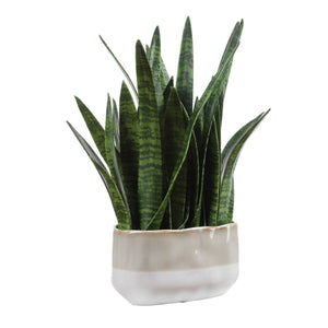 Sansera Snake Accent - decor accents and accessories for every room | Image 4 | InSTYLE Home & Rugs