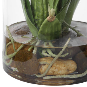 Spider Orchid - decor accents and accessories for every room | Image 9 | InSTYLE Home & Rugs