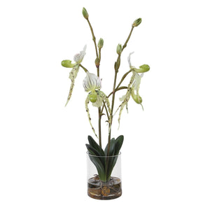Lady Slipper Orchid - modern accessories for a personalized living space | Image 4 | InSTYLE Home & Rugs