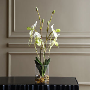 Lady Slipper Orchid - modern accessories for a personalized living space | Image 3 | InSTYLE Home & Rugs