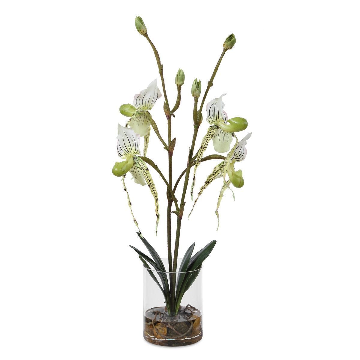 Lady Slipper Orchid - modern accessories for a personalized living space | Image 2 | InSTYLE Home & Rugs