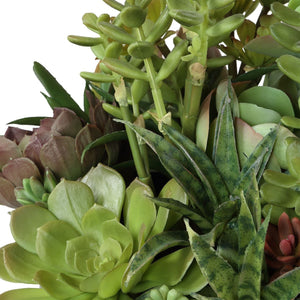 Mico Indoor-Outdoor Succulent Centerpiece - modern accessories for a personalized living space | Image 6 | InSTYLE Home & Rugs