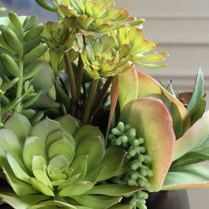 Mico Indoor-Outdoor Succulent Centerpiece - modern accessories for a personalized living space | Image 4 | InSTYLE Home & Rugs