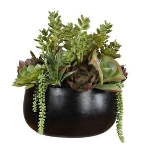 Mico Indoor-Outdoor Succulent Centerpiece - modern accessories for a personalized living space | Image 5 | InSTYLE Home & Rugs
