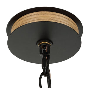 Palm Royal, 8 Lt Indoor-Outdoor Chandelier - energy-efficient and stylish designs | Image 9 | InSTYLE Home & Rugs