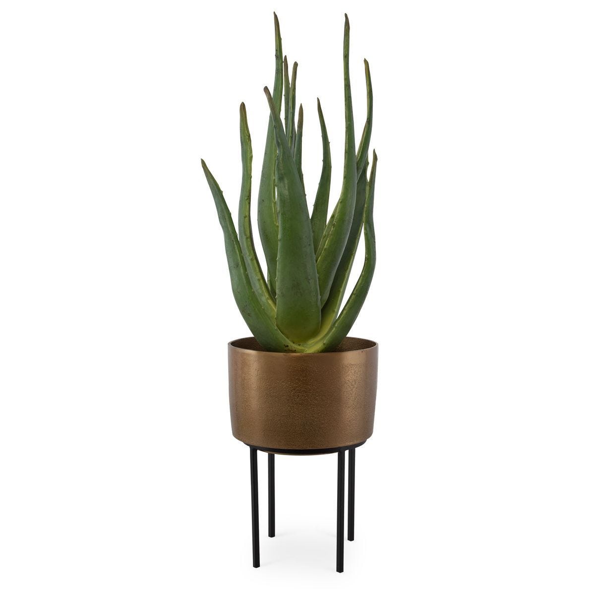 Arabia Aloe Planter, 2 CARTONS - decor accents and accessories for every room | Image 1 | InSTYLE Home & Rugs