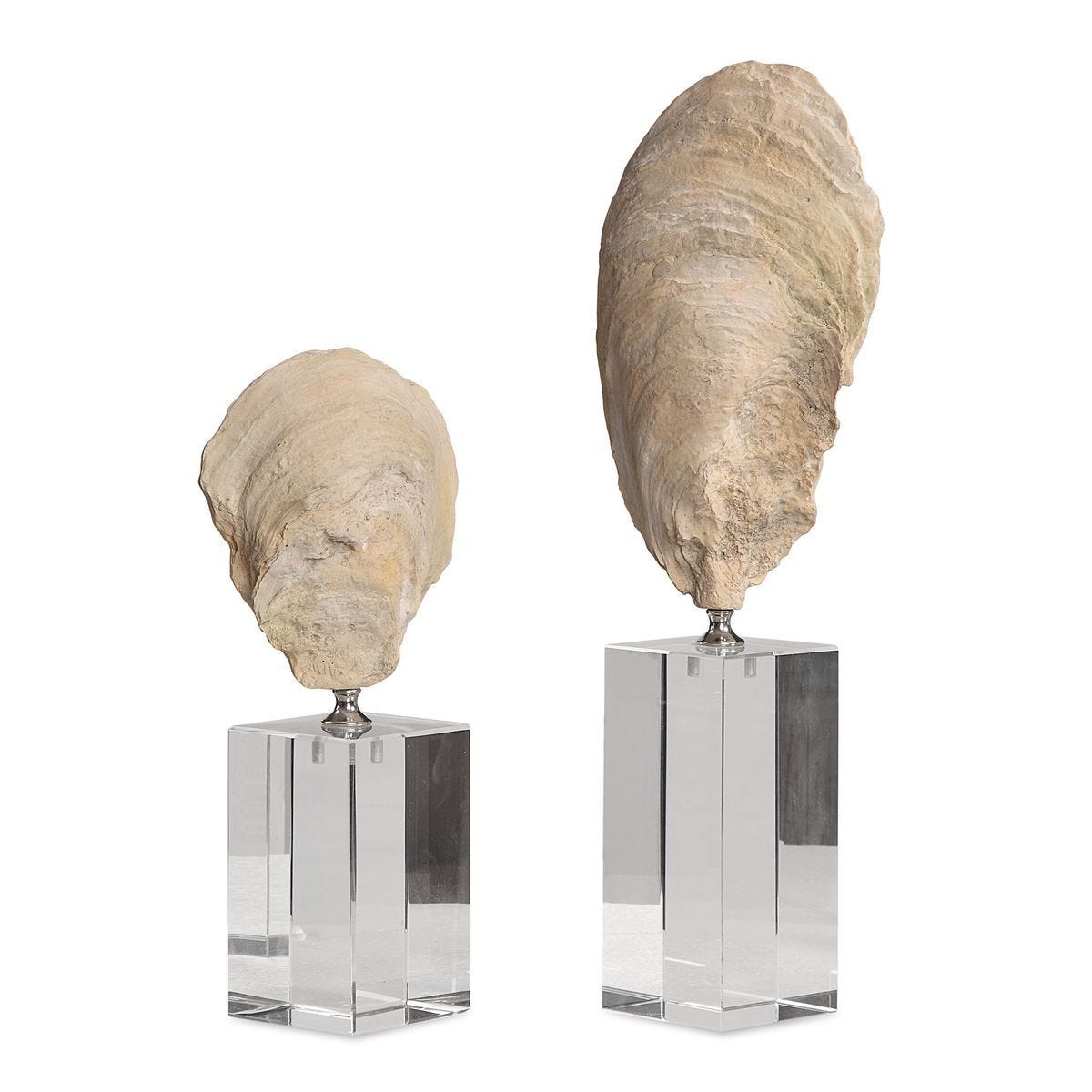 Oyster Shell Sculptures, S/2 - decor accents and accessories for every room | Image 1 | InSTYLE Home & Rugs