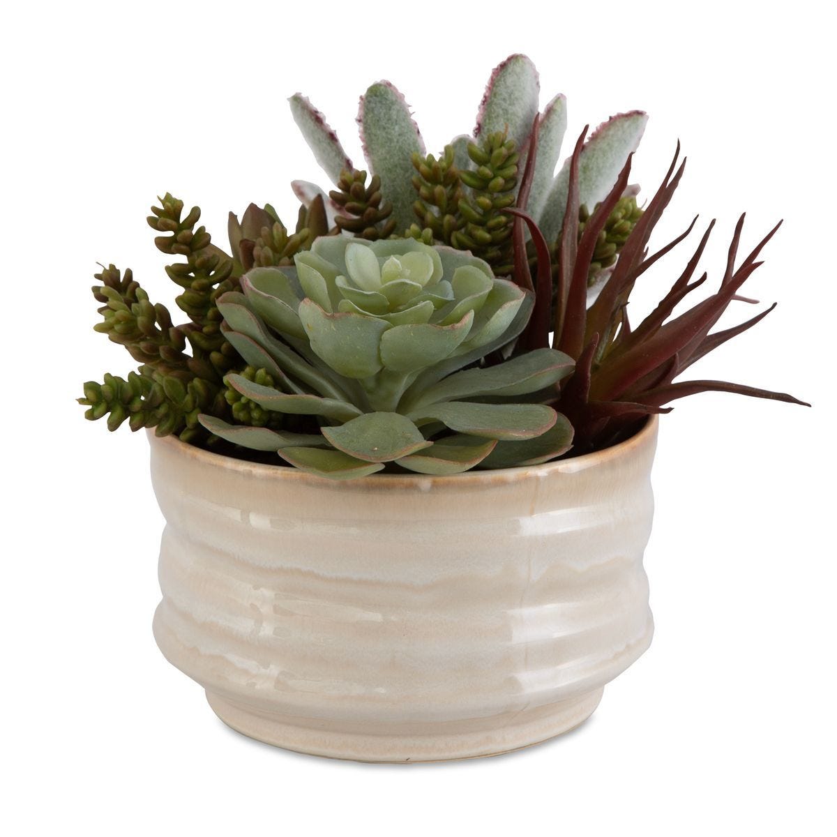 Mesa Succulent Accent - modern accessories for a personalized living space | Image 1 | InSTYLE Home & Rugs