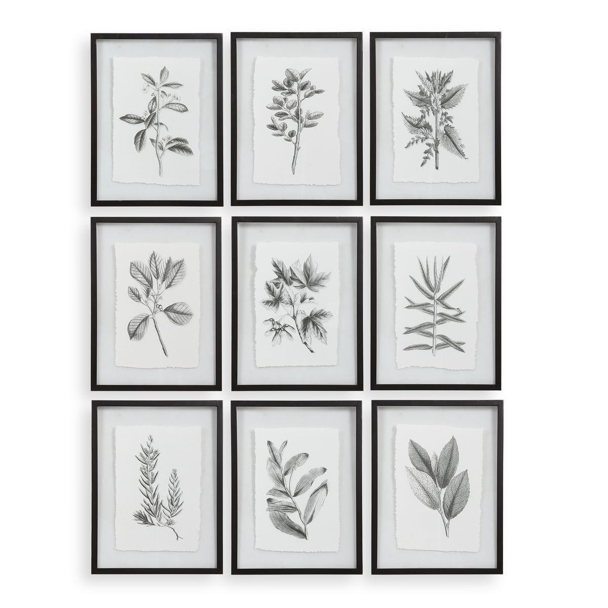 Farmhouse Florals Framed Prints, S/9 3 Cartons - bold and creative art for unique interior décor | Image 1 | InSTYLE Home & Rugs