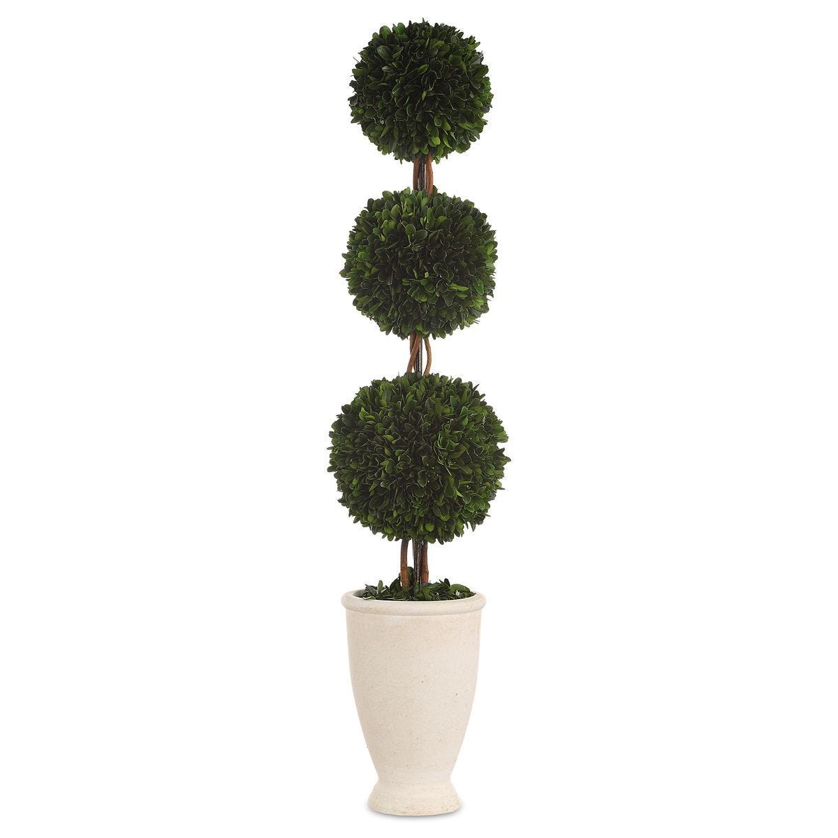 Preserved Boxwood Triple Topiary - modern accessories for a personalized living space | Image 1 | InSTYLE Home & Rugs