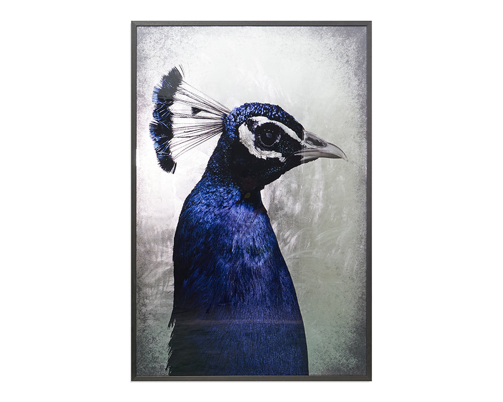 The Peacock - choose from a variety of prints, paintings, and photography | Image 1 | InSTYLE Home & Rugs