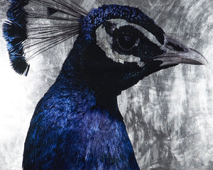 The Peacock - choose from a variety of prints, paintings, and photography | Image 4 | InSTYLE Home & Rugs