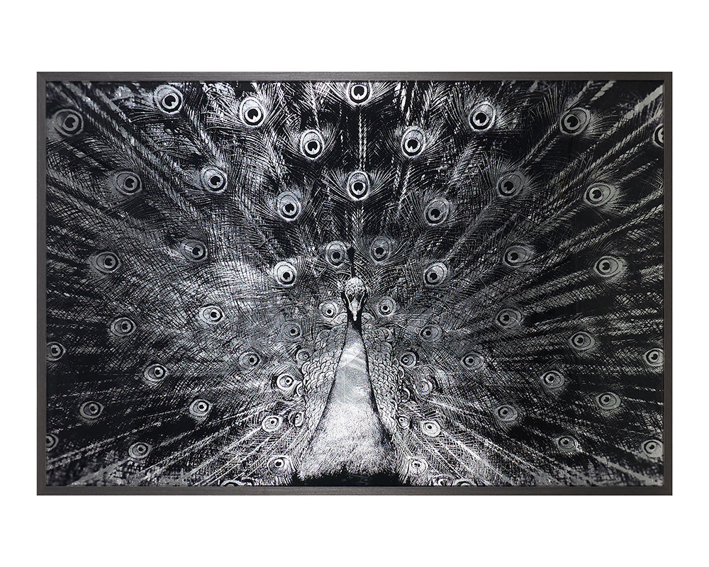 Silver Plumage - add personality and flair to your walls with stunning art | Image 1 | InSTYLE Home & Rugs